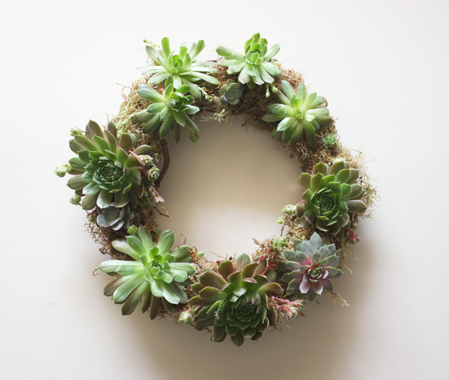DIY: Succulent Wreath – Alana Jones-Mann